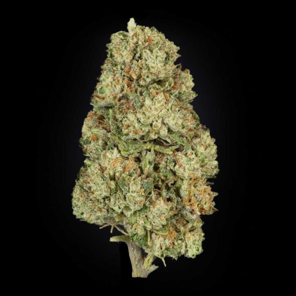 White Russian CBD Flower