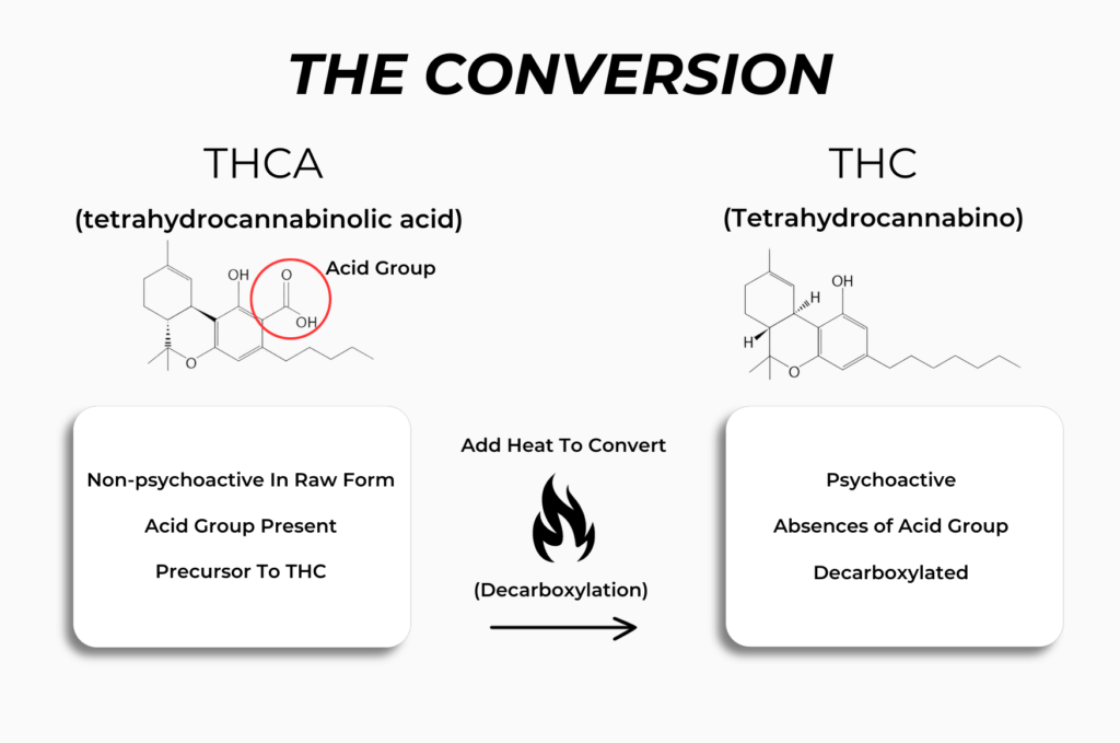 What Is THCA Flower?: The Ultimate Guide - Fire Hemp